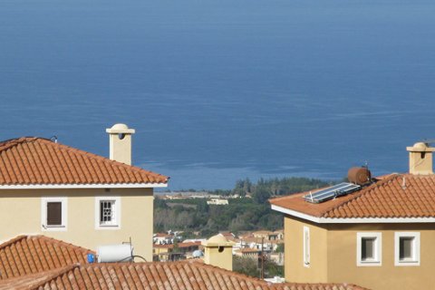 3 rooms Villa in Paphos,  No. 38041 3