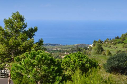 4 pièces Villa à Paphos,  No. 38038 5