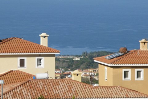 Вилла с 3 комнатами в Пафос,  № 38042 2