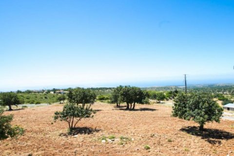 Вилла с 3 спальнями в Лимассол, Лимасол,  № 38433 9