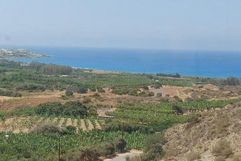 Вилла с 3 спальнями в Пафос,  № 38160 4