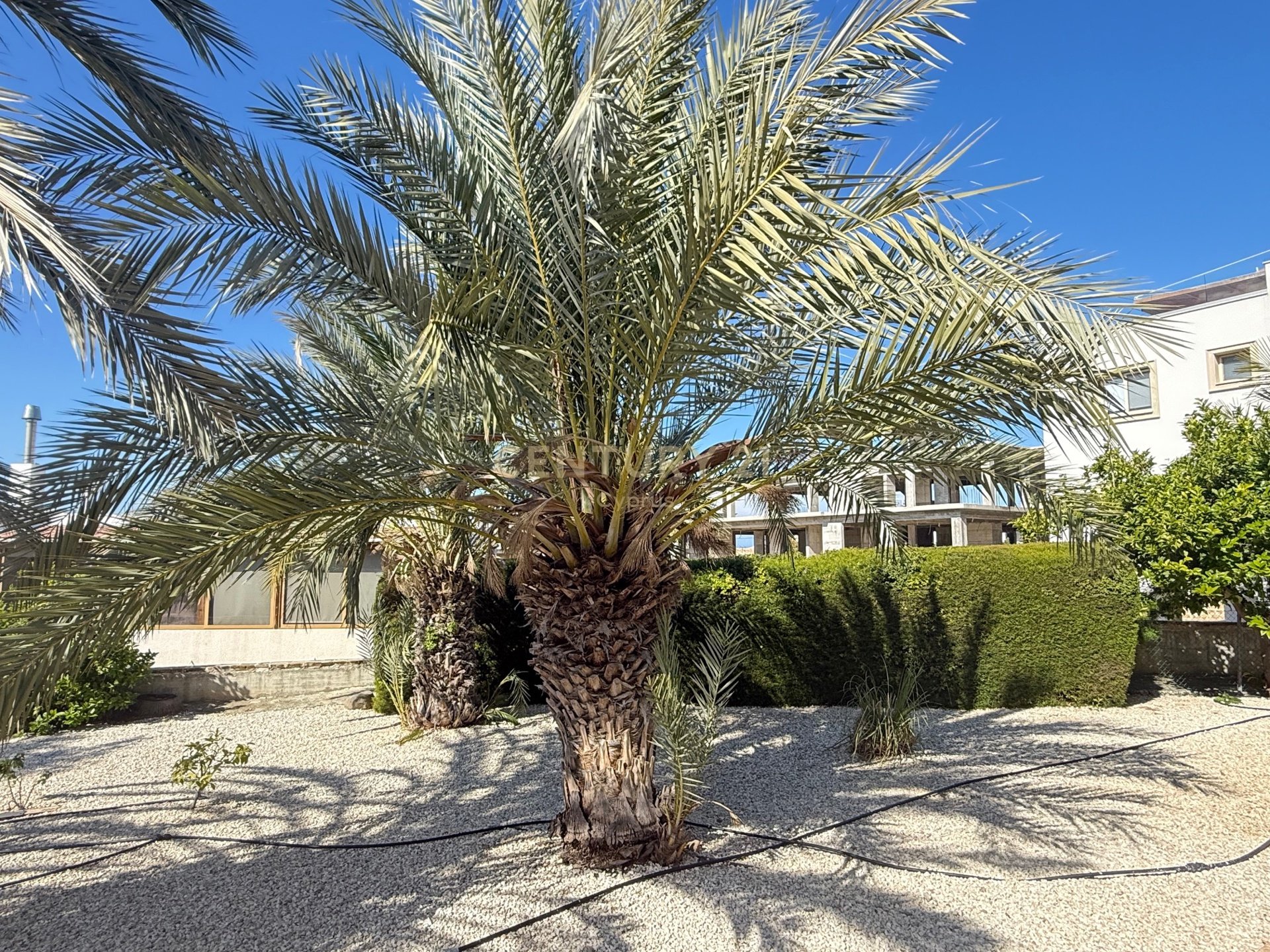 3 dormitorios Apartamento en Kissonerga, Paphos, Chipre No. 54046