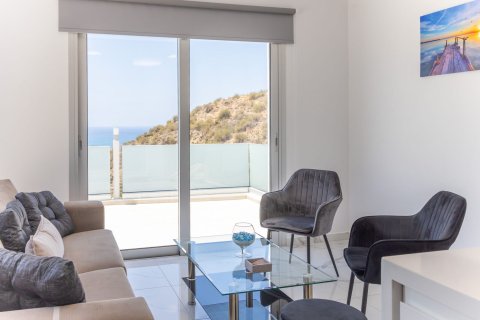 3 chambres Villa à Coral Bay, Pegeia, Paphos,  No. 44736 4