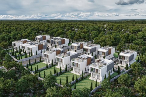 Вилла с 3 спальнями в Месоги, Пафос, № 54455 11