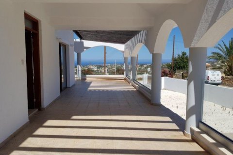 Вилла с 8 спальнями в Пафос,  № 38471 15