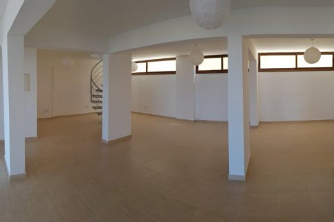 6 dormitorios Villa en Paphos,  No. 38472 9