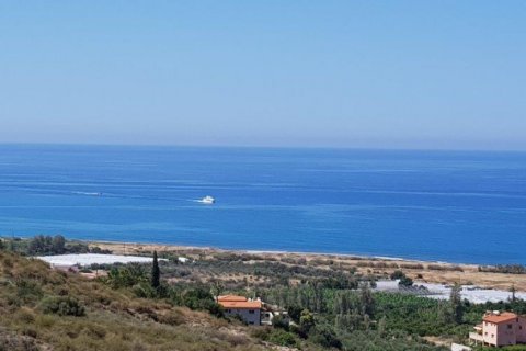 6 dormitorios Villa en Paphos,  No. 38472 3