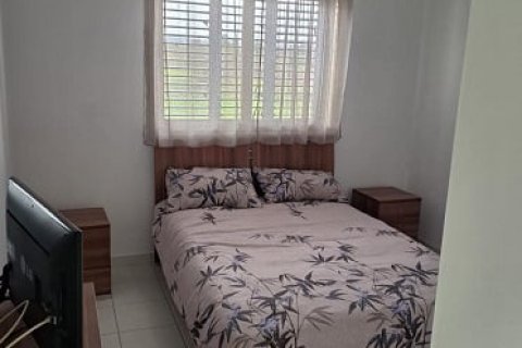 1 bedroom Apartment in Anarita, Paphos,  No. 56618 5