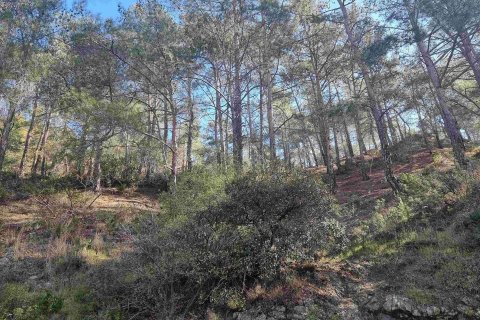 Land in Moniatis, Limassol,  No. 49133 6