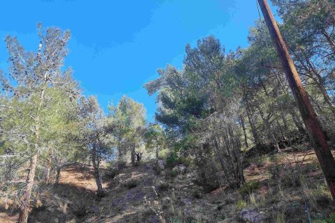 Land in Moniatis, Limassol,  No. 49133 3
