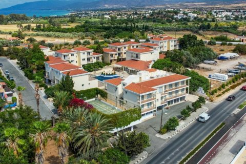 5395m2 Commercial property in Paphos, No. 37905 14