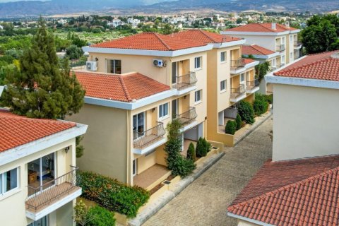 5395m2 Commercial property in Paphos, No. 37905 8