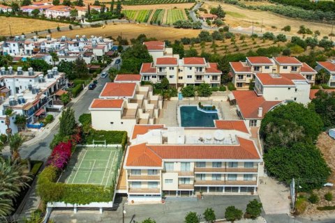 5395m2 Commercial property in Paphos, No. 37905 15