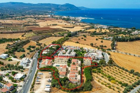 5395m2 Commercial property in Paphos, No. 37905 11