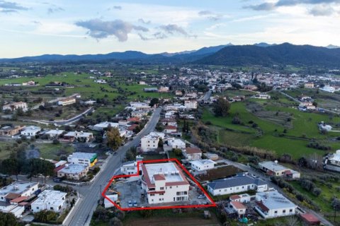 1131m2 Local comercial en Nicosia,  No. 37903 5