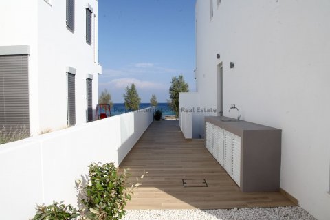 7 bedrooms Villa in Paralimni, Ammochostos, Cyprus No. 36879 26