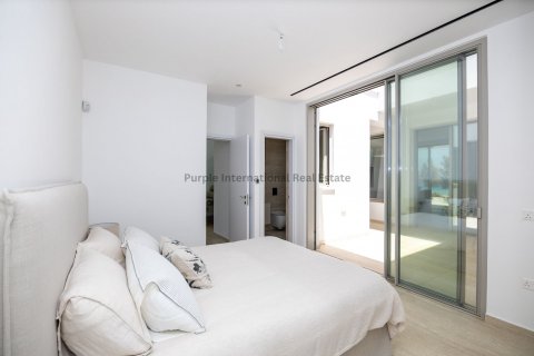 7 bedrooms Villa in Paralimni, Ammochostos, Cyprus No. 36879 21