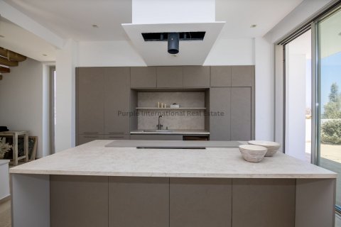 7 bedrooms Villa in Paralimni, Ammochostos, Cyprus No. 36879 15
