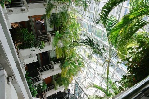 857m2 Commercial property in Limassol,  No. 42322 5