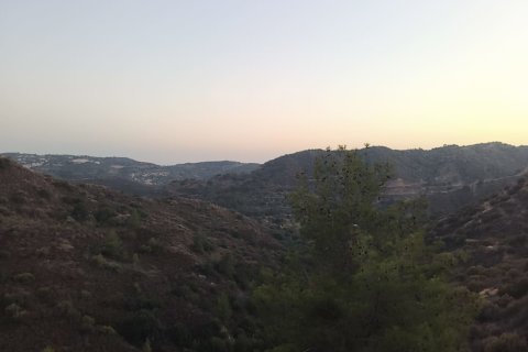 11039m2 Land in Pano Lefkara, Larnaka,  No. 56774 4
