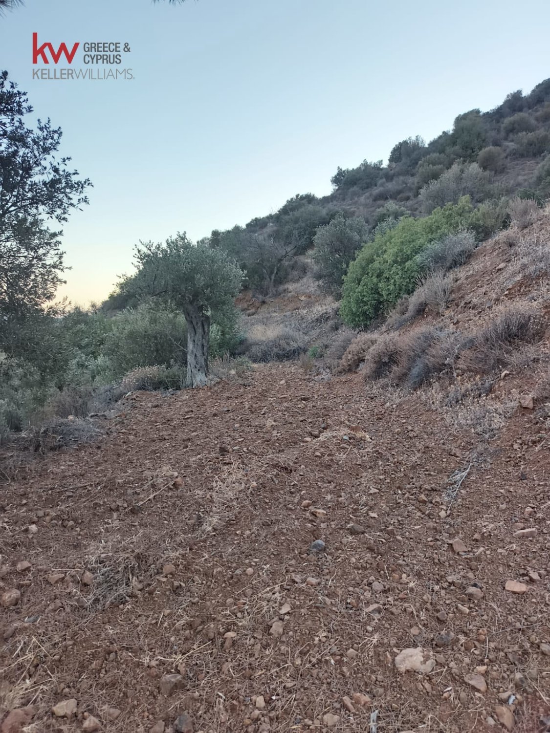11039m2 Land in Pano Lefkara, Larnaka, Cyprus No. 56774