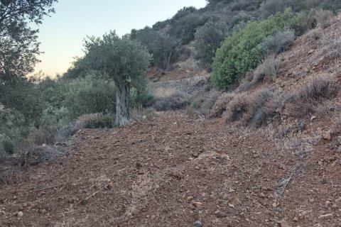 11039m2 Land in Pano Lefkara, Larnaka,  No. 56774 8