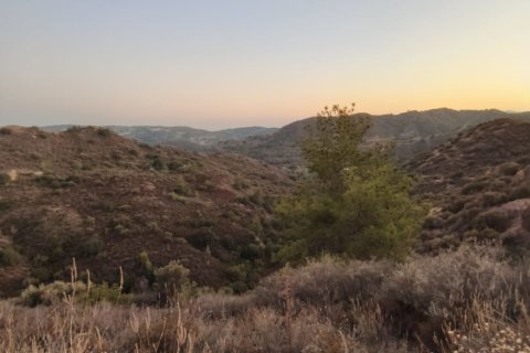 11039m2 Land in Pano Lefkara, Larnaka,  No. 56774