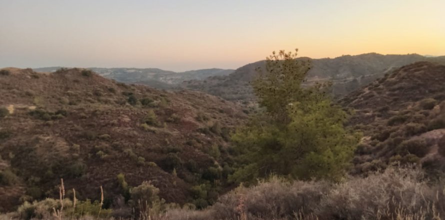 11039m2 Land in Pano Lefkara, Larnaka,  No. 56774