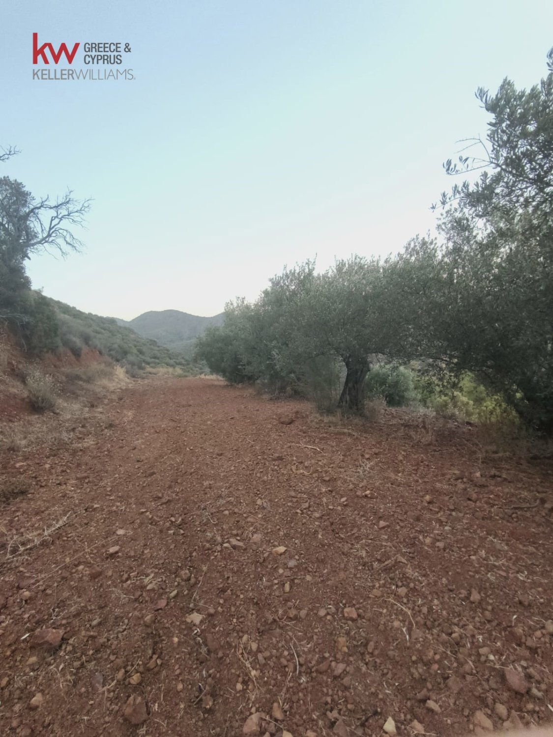 11039m2 Land in Pano Lefkara, Larnaka, Cyprus No. 56774
