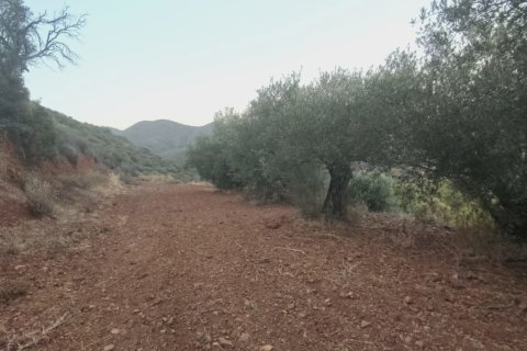 11039m2 Land in Pano Lefkara, Larnaka,  No. 56774 7