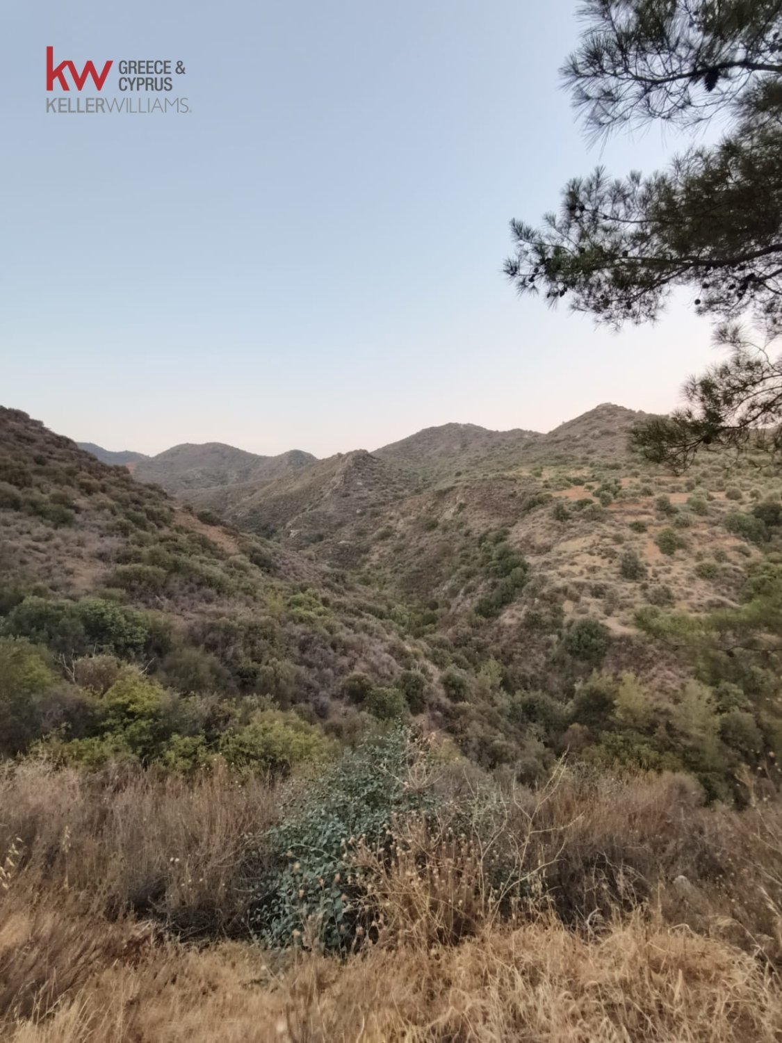 11039m2 Land in Pano Lefkara, Larnaka, Cyprus No. 56774
