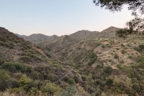 11039m2 Land in Pano Lefkara, Larnaka,  No. 56774 5