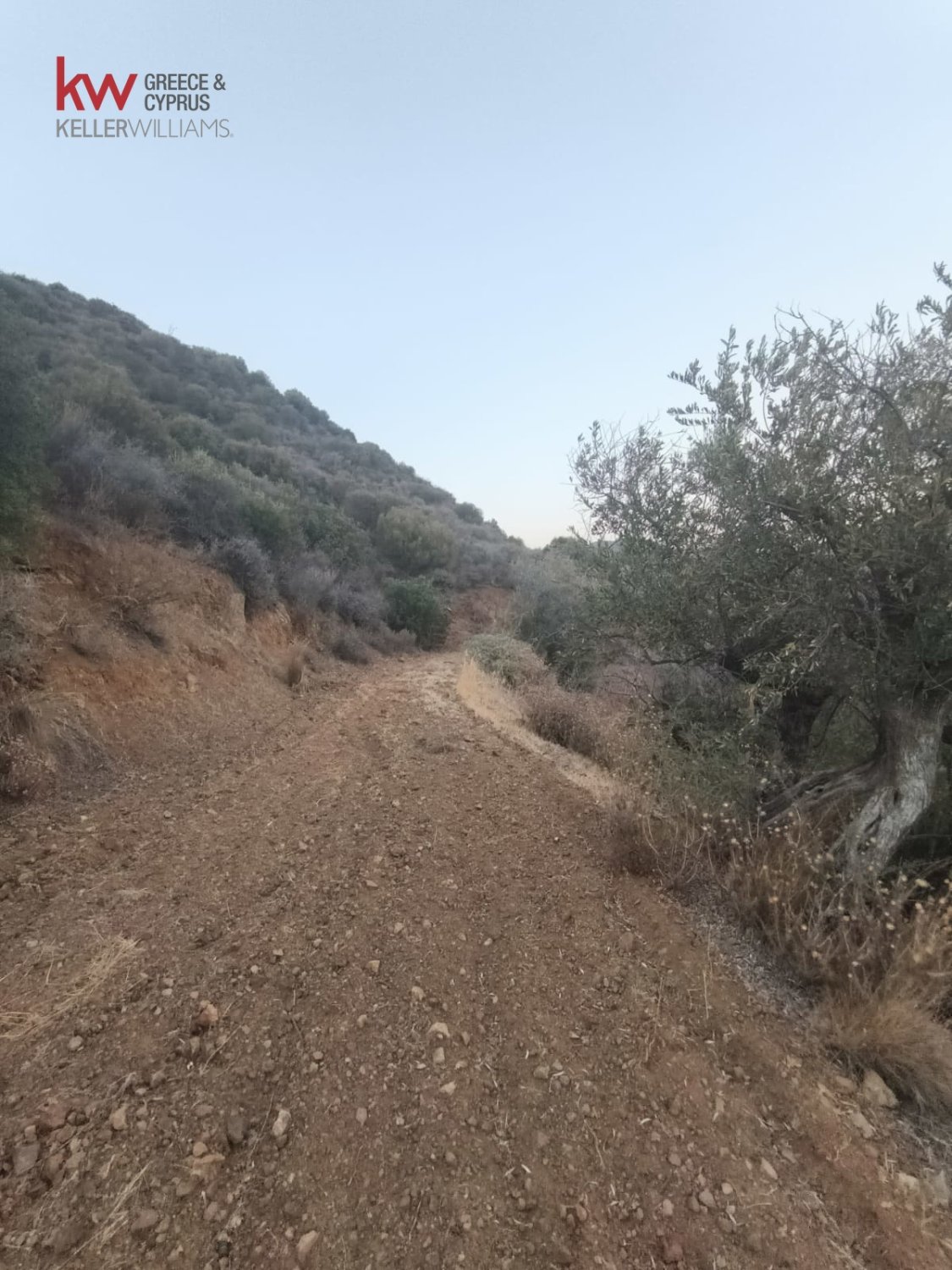 11039m2 Land in Pano Lefkara, Larnaka, Cyprus No. 56774
