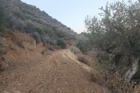 11039m2 Land in Pano Lefkara, Larnaka,  No. 56774 6