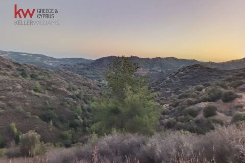 11039m2 Land in Pano Lefkara, Larnaka,  No. 56774 3