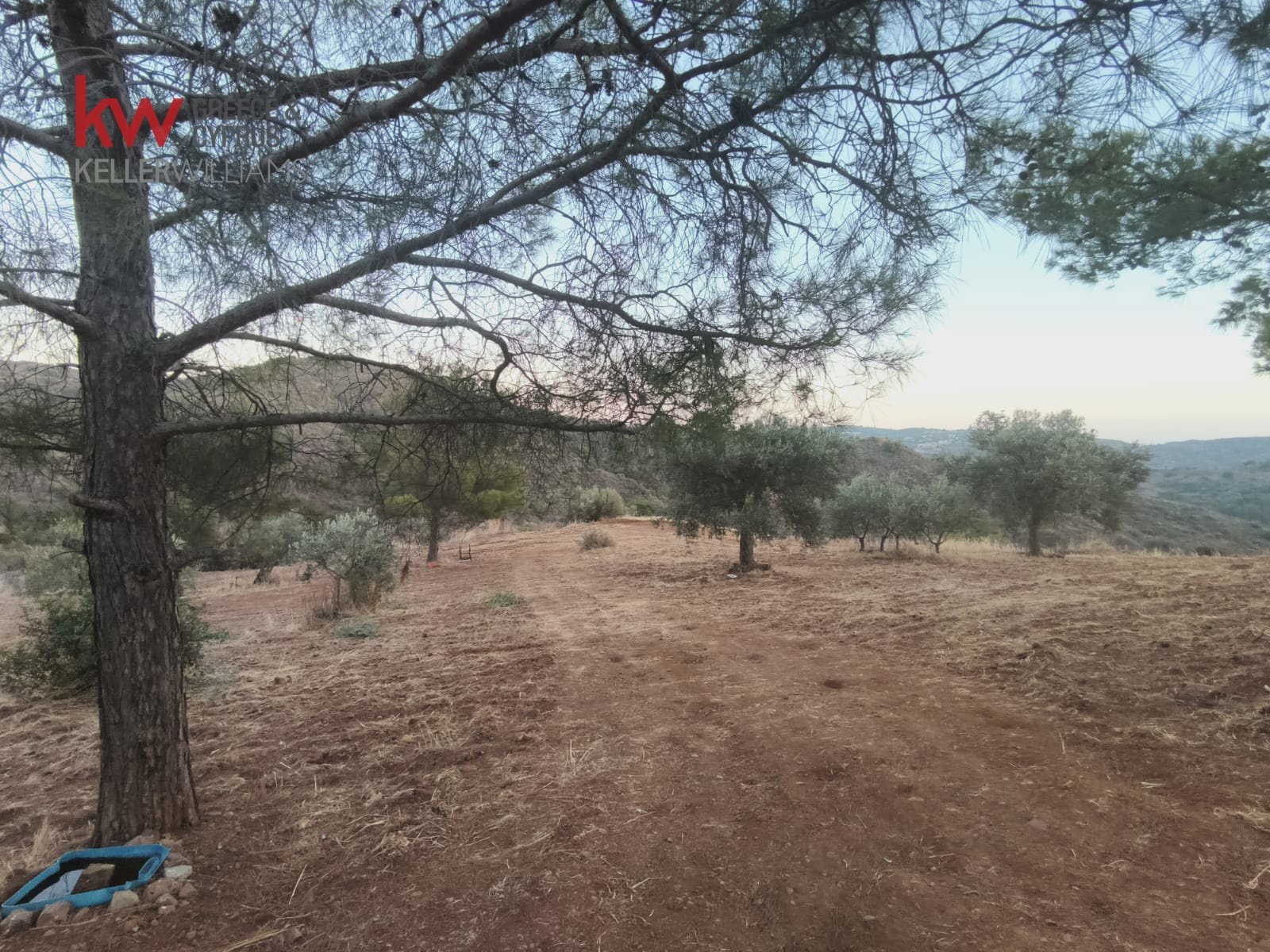 11039m2 Land in Pano Lefkara, Larnaka, Cyprus No. 56774