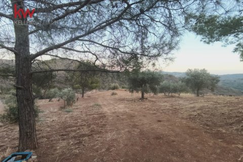11039m2 Land in Pano Lefkara, Larnaka,  No. 56774 10