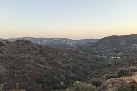 11039m2 Land in Pano Lefkara, Larnaka,  No. 56774 9