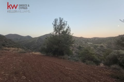 11039m2 Land in Pano Lefkara, Larnaka,  No. 56774 11