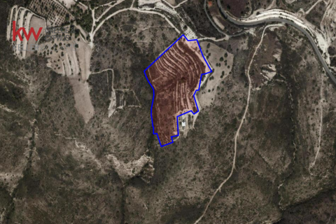 29089m2 Terrain à Vavla, Larnaka,  No. 56776 2