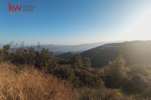 29089m2 Terrain à Vavla, Larnaka,  No. 56776 3