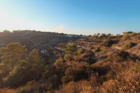 29089m2 Terrain à Vavla, Larnaka,  No. 56776 6