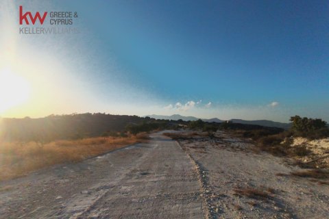 29089m2 Terrain à Vavla, Larnaka,  No. 56776 4