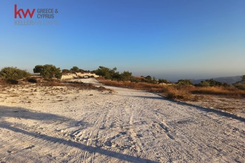29089m2 Terrain à Vavla, Larnaka,  No. 56776 8