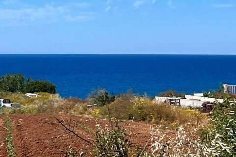 Terrain à Pomos, Paphos,  No. 56297 3