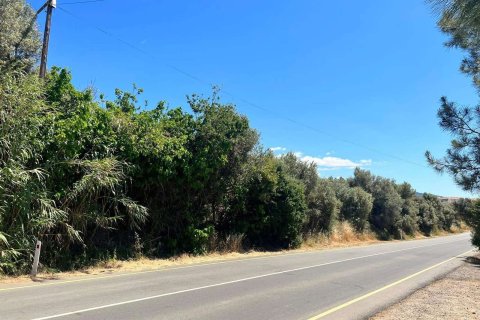 Terrain à Pomos, Paphos,  No. 56297 2