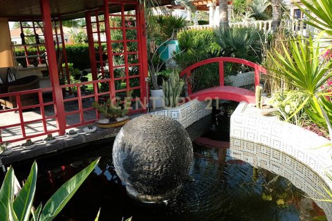 6 dormitorios Villa en Agios Tychonas, Limassol,  No. 55705 11