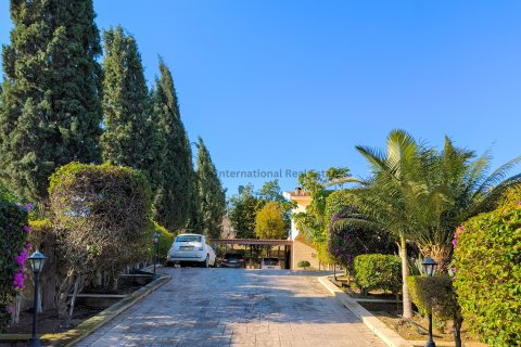 4 bedrooms Villa in Aradippou, Larnaka, No. 39130 26