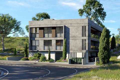 3 bedrooms Apartment in Prodromos, Nicosia,  No. 41503 4