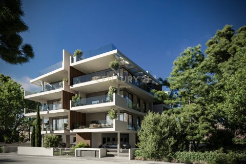 Квартира с 2 спальнями в Арадипу, Ларнака,  № 53500 11